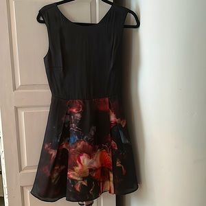 Ted Baker Size 2 Dress